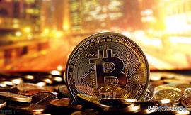 比特币下跌有限 前景依然光明_THE:hungflowercoin