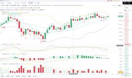 胖哥说币：12.13BTC夜间行情分析_USD:USDQ