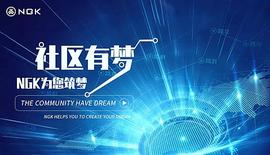 NGK公链打造超强社区共识_NGK:btc交易平台合法吗