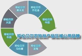 呼伦贝尔市大手笔打造“叫得响”的农牧林产品区域公用品牌_: