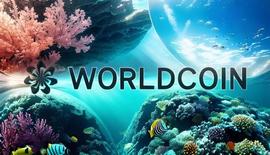 被疯狂 FOMO 的 Worldcoin 代币，多签合约 Owner 竟只有一人？_MIN:NER