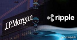 对话Worldcoin CEO：做加密货币最大胆的项目_比特币:ripple币是什么意思