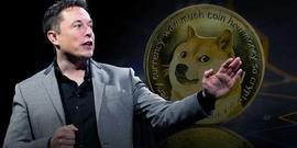 马斯克否认炒币！骂狗狗币投资者「赔钱想揩油」要求驳回集体诉讼_狗狗币:PIR