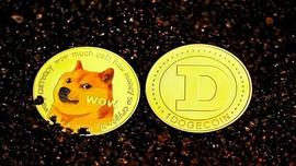 狗狗币价格分析：支撑位和阻力位的检查_DOG:doge币有升值空间吗