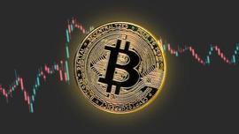 马斯克“钻石手”！特斯拉不出仓比特币储备 减半后将买入更多？_比特币:马斯克