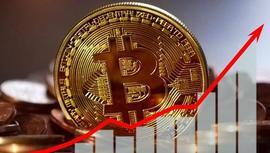 分析师：预计 2024 年比特币减半后将迎来山寨币季节_比特币:加密货币市场行情走势最新