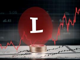 莱特币：减半临近时 LTC 持有状况一览_LTC:sLTC价格