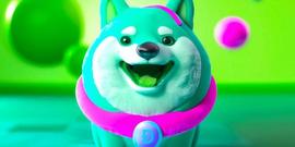DOGE触底并入局，下次反弹何时到来？_狗狗币:ERT
