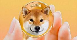 柴犬 (SHIB) 价格可能很快飙升至主要高点，这就是原因_SHIB:ROCKET