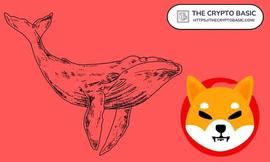 SHIB鲸鱼数量暴增，10万美元以上交易大爆发！_SHIB:pci币怎么样