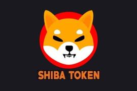 投资SHIB到0.01美元需要多少资金才能成为百万富翁？_SHIB:Mamy Shiba Inu