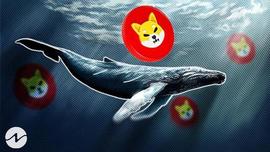 Shiba Inu (SHIB) 鲸鱼通过未知钱包转移了 5 万亿代币_SHIB:whitecoin