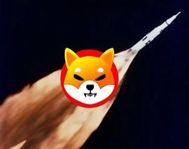柴犬在美国比以太坊、狗狗币更受欢迎_SHIB:SHIBA22