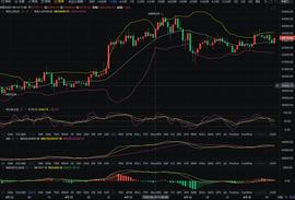今日BTC行情分析_比特币:Pascal Coin