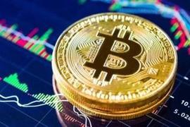 BTC生态有再度崛起的苗头！——BTC叙事，最牛的风口。_DOG:btc期货交易平台美金