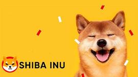 Shiba Inu 价格上涨 33% 后价格走势降温_SHIB:AIN