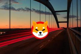 Shiba Inu 的 Shibarium 跨链桥开放公开测试_SHIB:SHIBA22