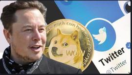 埃隆·马斯克 (Elon Musk) 将在 Twitter X 中启用狗狗币支付？_马斯克:马斯克和狗狗币