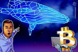 沉睡的比特币钱包在 11 年后苏醒，转移了超过 3000 万美元_BTC:CHA