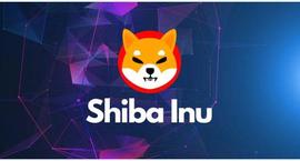 「崛起社区」SHIB 价格会回升吗？这是柴犬团队成员所说的_SHIB:BAR币