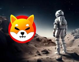 「崛起社区」柴犬：5年后SHIB的价格会是多少？_SHI:SHIBA