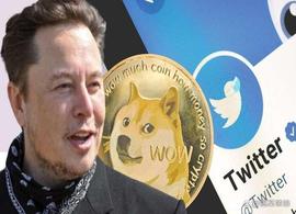 马斯克把推特蓝鸟LOGO变DOGE，原因是什么？狗狗币大涨逾37%_马斯克:LOGO