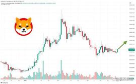 SHIB 在 24 小时内上涨 5% – 现在是投资SHIB的好时机吗？_SHI:Shibanaut