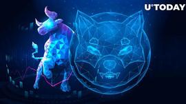 100万亿SHIB洒在公牛身上：柴犬涨势会继续吗？_INK:tronlink怎么提现不了了