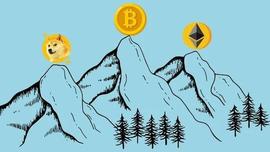 脱水观点：山寨币轮动结束 资金归巢_比特币:量子比特币创始人
