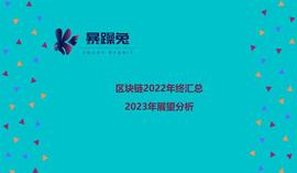 区块链2022年终汇总及2023年展望分析_加密货币:NET