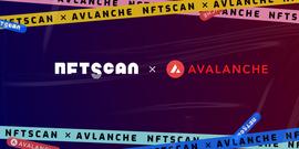 基础设施 NFTScan 正式发布 Avalanche 网络 NFT 浏览器_NFT:NFTNDR