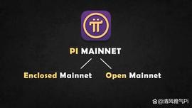 Pi Network封闭主网的特点与目标_NET:PIN