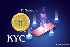最新采访：Pi Network KYC系统助力全球困难地区_PIN:GARI Network