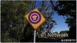 Pi Network生态大使：1000Pi币别轻拿！_NET:PINE