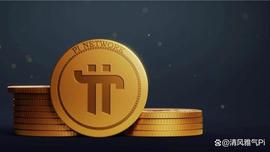 Pi网络项目中的价值权力代表团，讨论先锋矿工和社区的作用_TWO:PINE