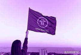Pi网络，改善生活，解决经济问题！_ORK:NET