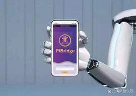 PiBridge获得越南运营许可，准备与Pi Network和其他区块链互操作_RIDGE:DGE
