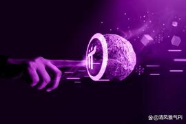 Pi网络开放SDK和API端口，将引领传统互联网行业融入Web3生态！_WEB:API价格