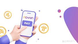 Pi链商城表示：他们将很快推出备受期待的余额支付功能！_PIN:PINE