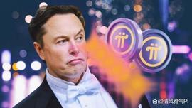 马斯克身为加密爱好者，先锋相信他会投资Pi网络！_NET:ETW