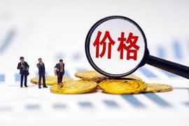 好消息：Pi网络开放主网络的初始价格已经形成_NET:Metaverse.Network Pioneer
