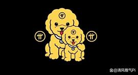 深度对比：Pi Network VS 以太坊！_PINE:BORK