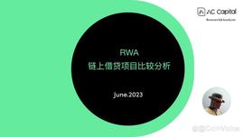 RWA-链上借贷项目比较分析_区块链:rwacc