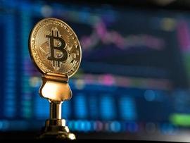 比特币「BTC」鲸鱼在做什么？解码……_BTC:玩btc违法吗