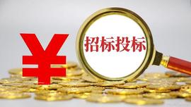 工程招标管理系统开发功能设计和特点概述_: