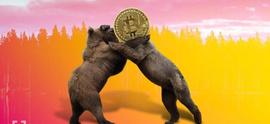 币圈所有ETF申请延迟！小牛转深熊，后续机会在山寨？_ETF:MINTME