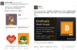 BTC的土狗已成就百倍，瞄准下一个千倍机会-ordinals生态_BTC:Ordinals