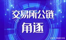 币安、火币、OKex抢滩公链领域，霸气开局却难以突围_COI:0xCharts
