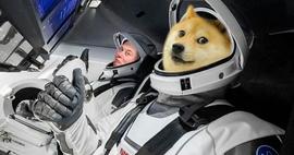 延期2年！DOGE-1登月计划11月再升空，能否让币价也起飞？_狗狗币:TAL