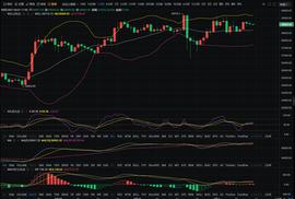 　今日BTC行情解析_BTC:LionIsland Inu